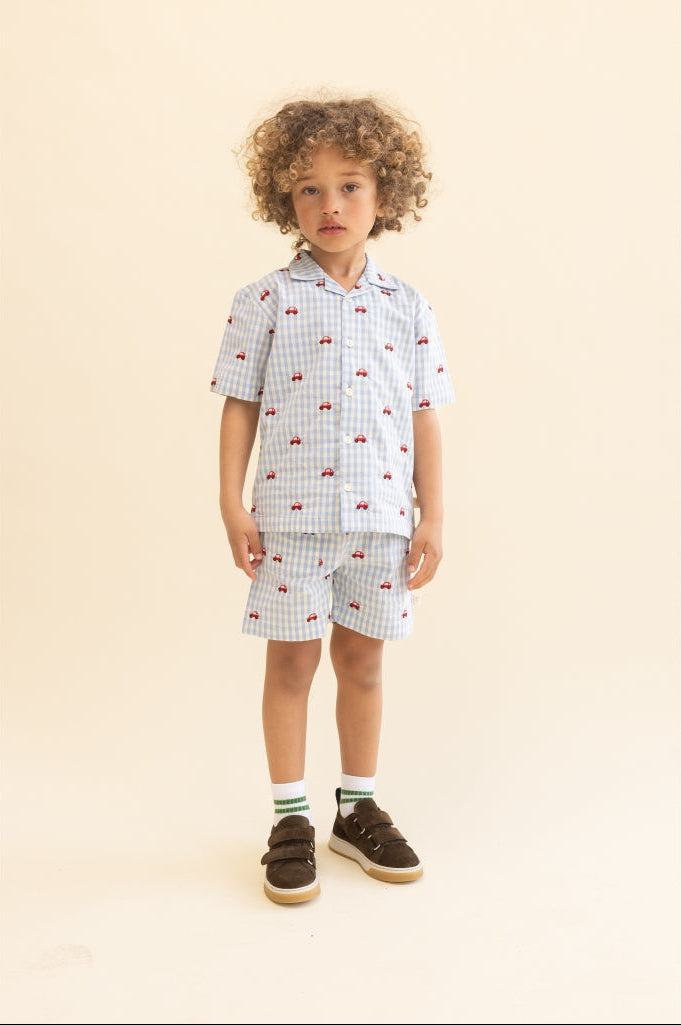 Albert Shorts
