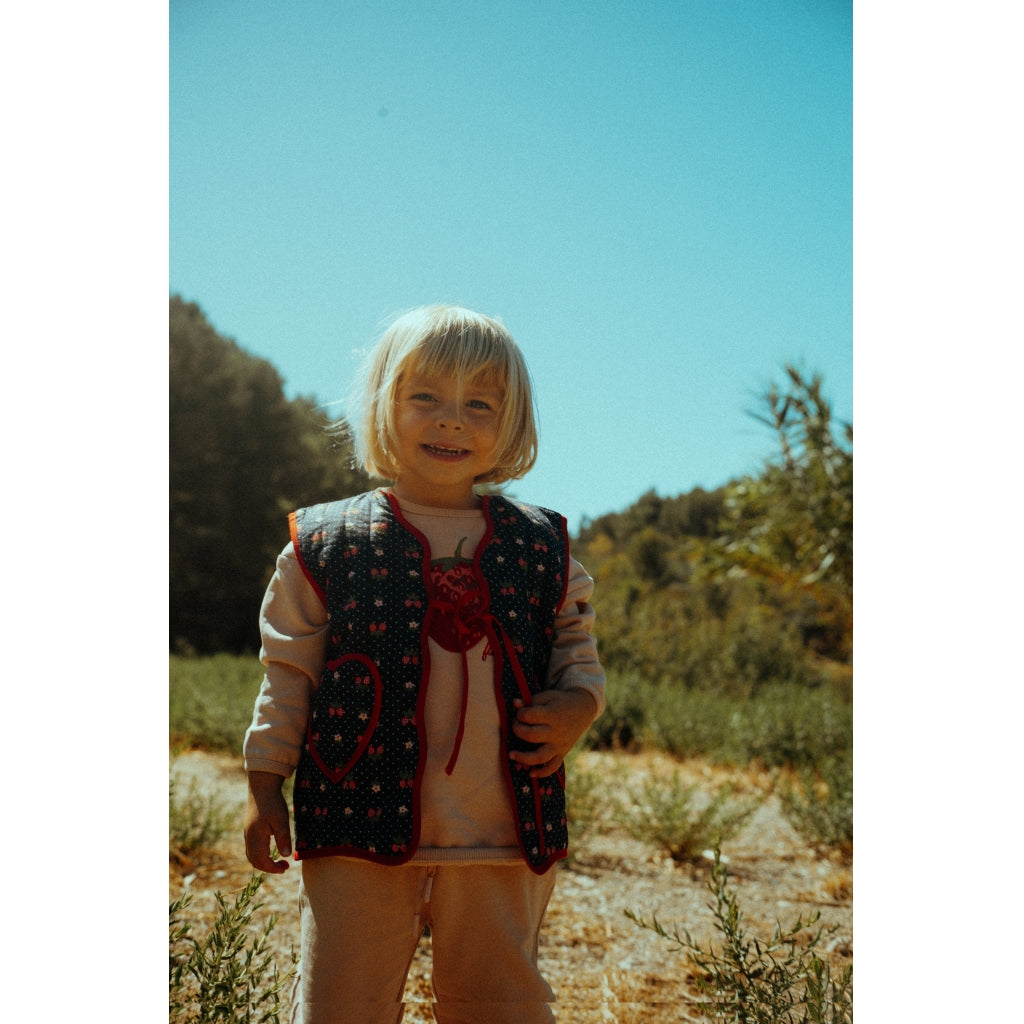 Vida Berry Pullover