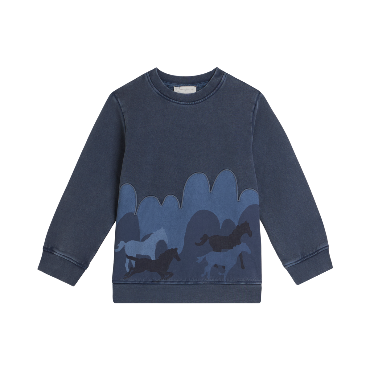 Blue Horse Graphic Pullover