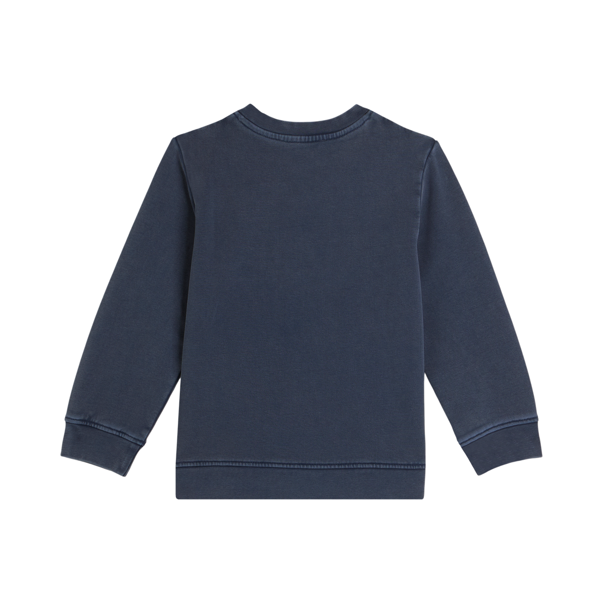 Blue Horse Graphic Pullover