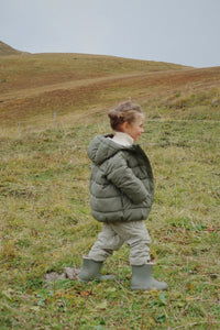 Alpi Jas