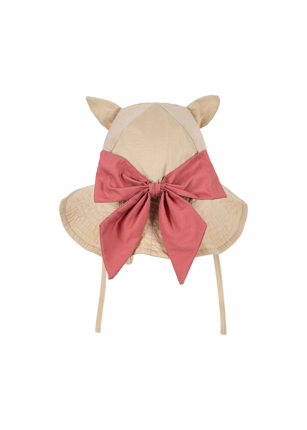 Verbena Bow Kitty Sonnenhut
